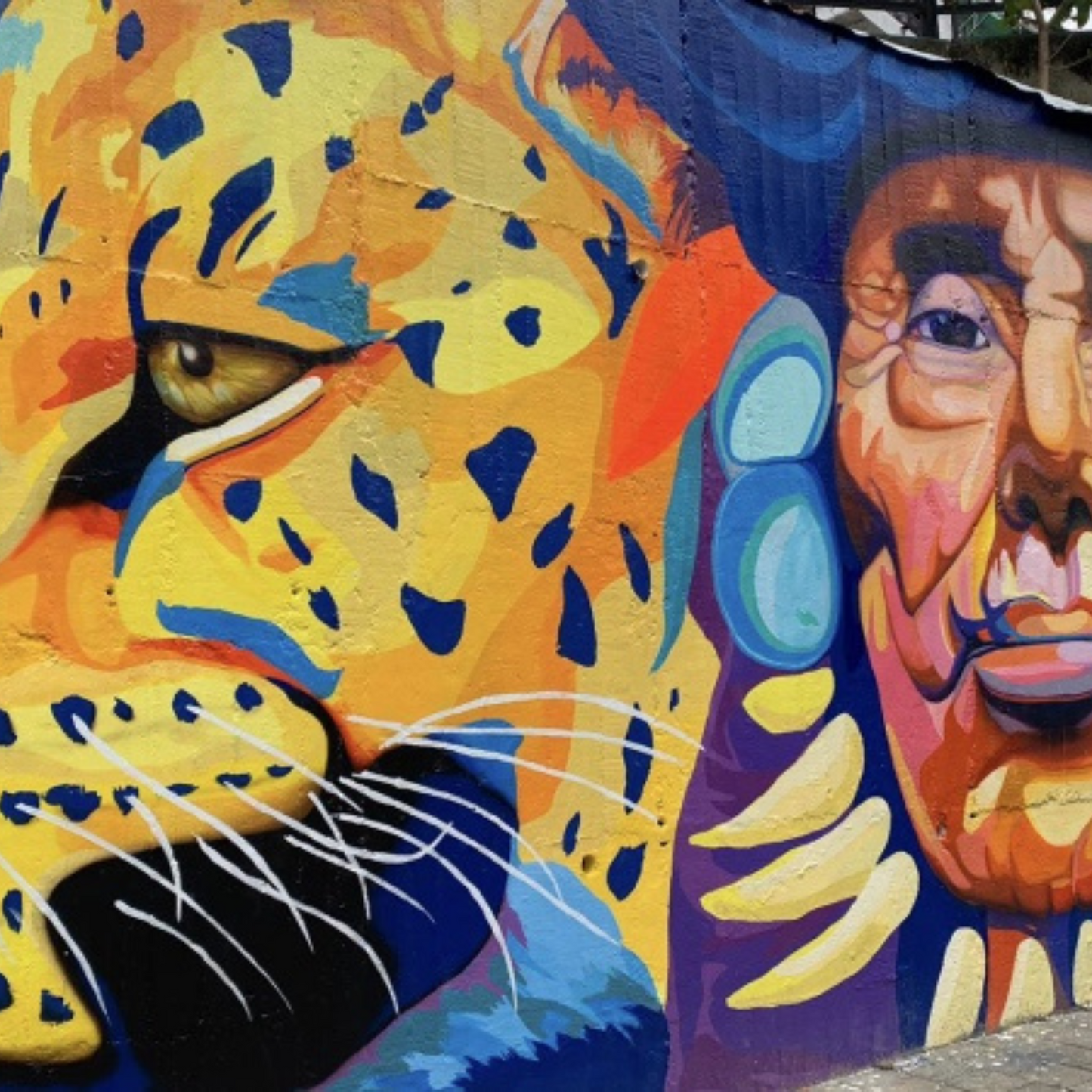 GraffiTour Comuna 13 – Murales, Escaleras y Memoria Viva