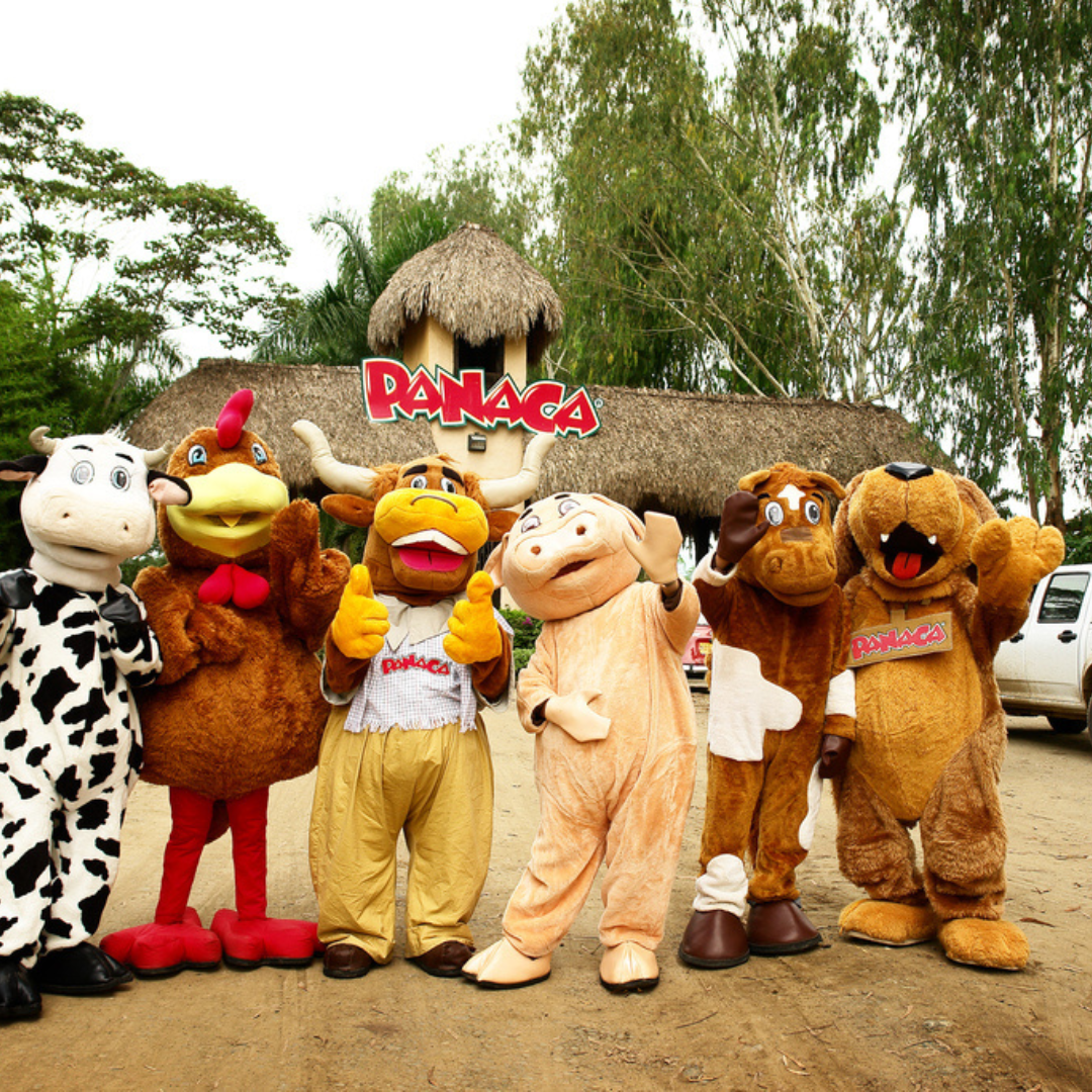 Eje Cafetero - Experiencia Origen